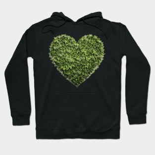 Tree of Life - Designs for a Green Future Hoodie